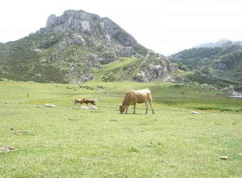 View of Asturias - a perfect place to relax and enjoy your jacuzzi