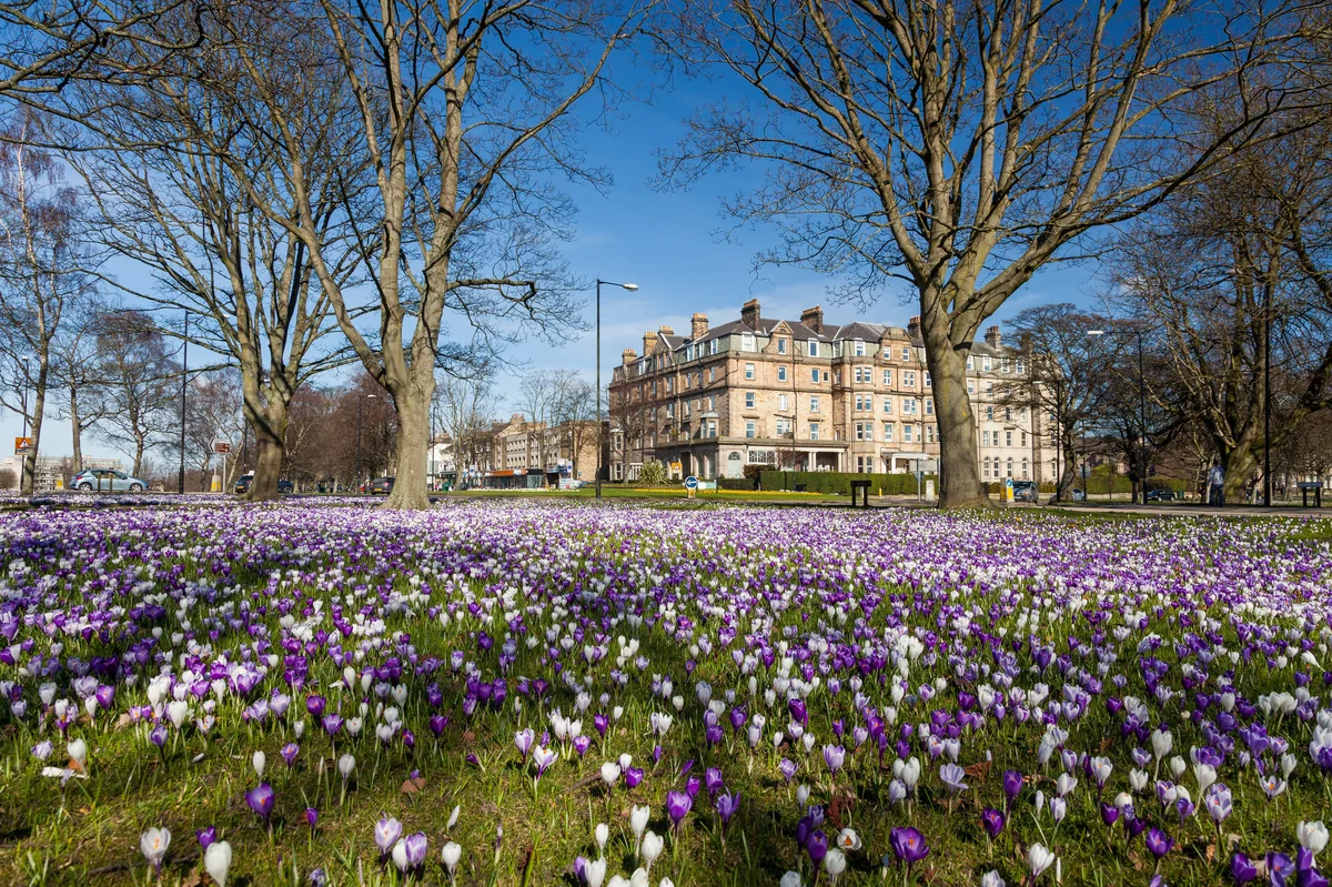 View of Harrogate - a perfect place to relax and enjoy your jacuzzi