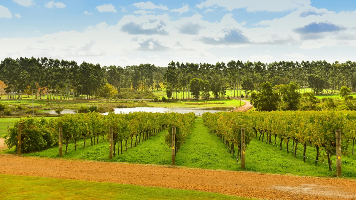 View of Margaret River - a perfect place to relax and enjoy your jacuzzi