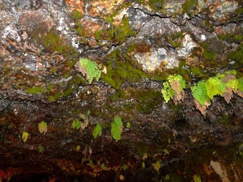 View of São Vicente - a perfect place to relax and enjoy your jacuzzi